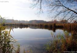 Vidnavské mokřiny - chráněná přírodní rezervace
