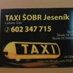 Taxi - Ladislav Šobr